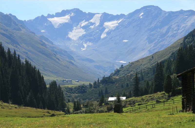 Teufi