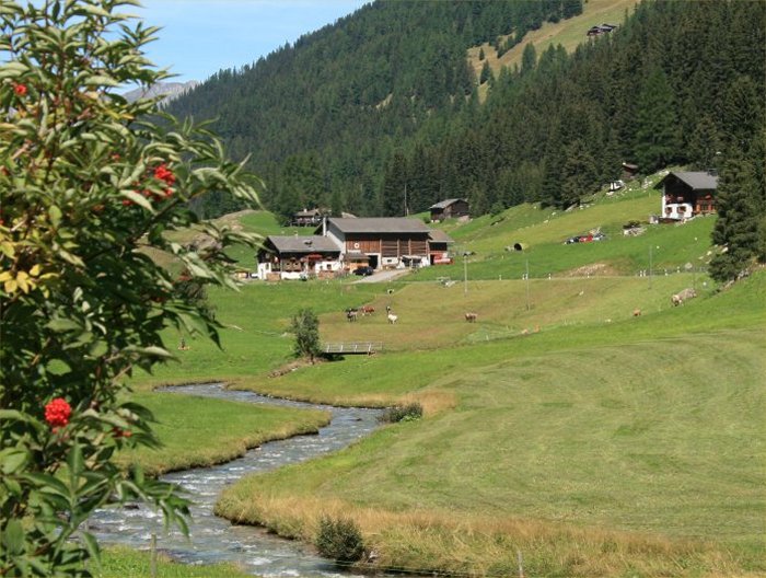 Teufi