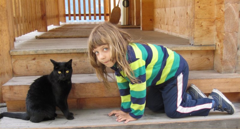 Katze