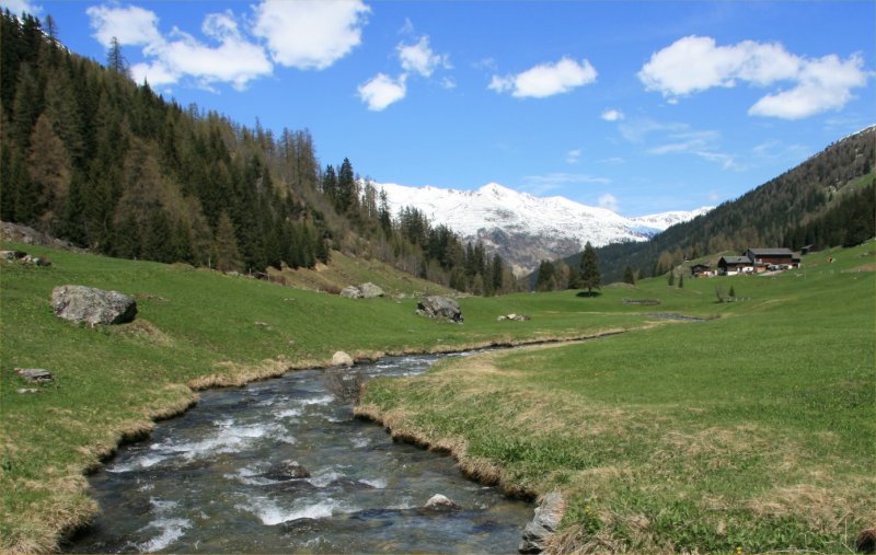 Teufi