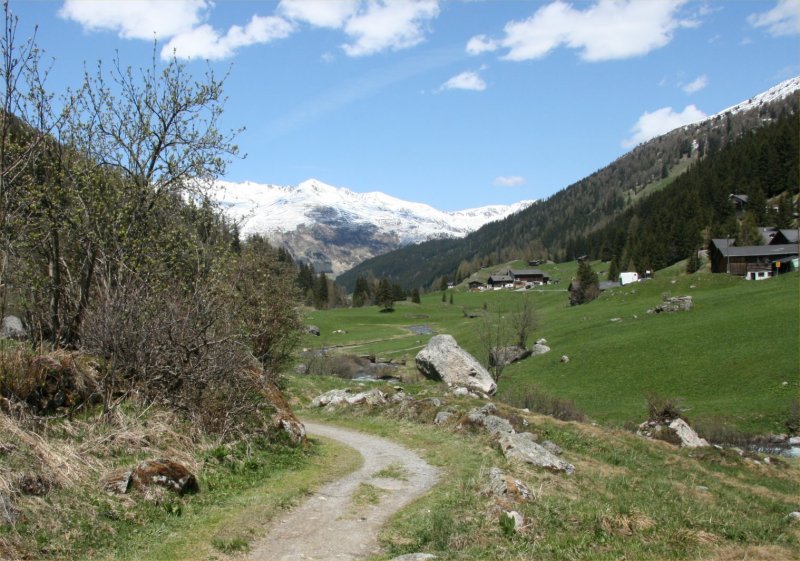 Teufi